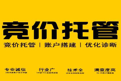 SEM优化策略：打造高效广告投放案例